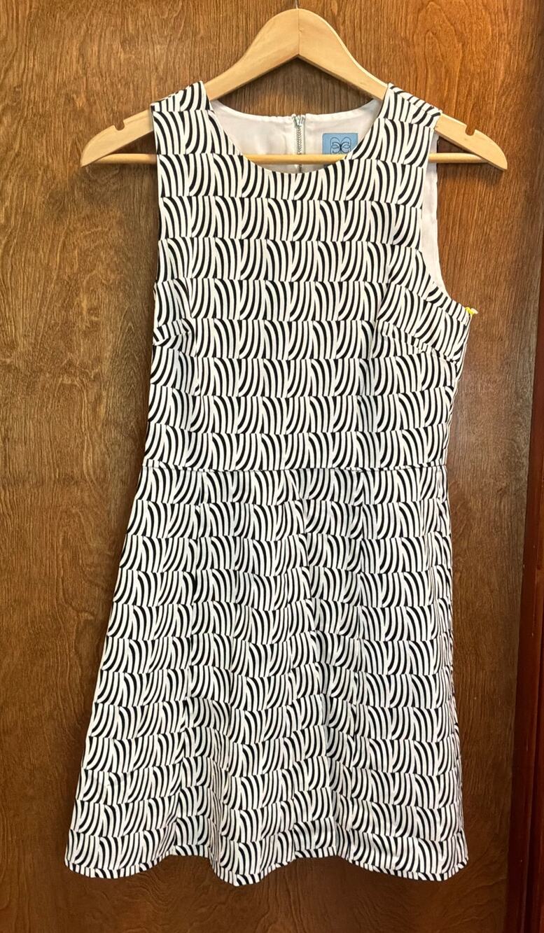 CeCe A-Line Shift Mini Dress sz 4